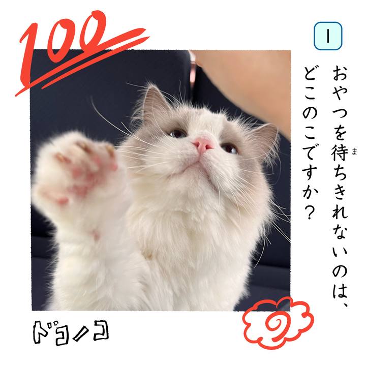 C3c161c4 db25 4c16 a9d1 3fdb42efcad3 1744441844548