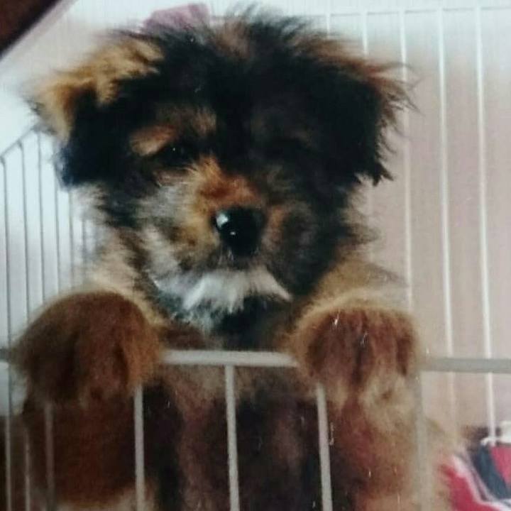 C3c16e17 52d1 40ab a4de 0cd28733f4ac 1517223047781