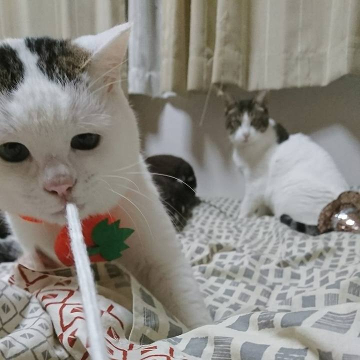 C3c177d7 7b09 441e b66a e1f99852fe4c 1509460510655