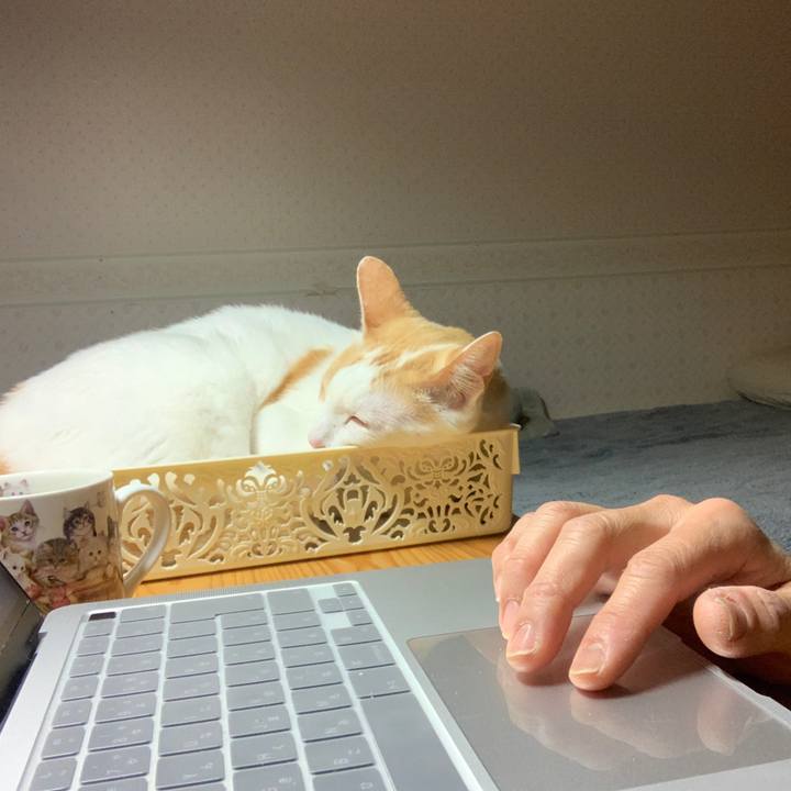 C3c1b118 2dba 4ebc 9227 47b188fe47e1 1646860242013