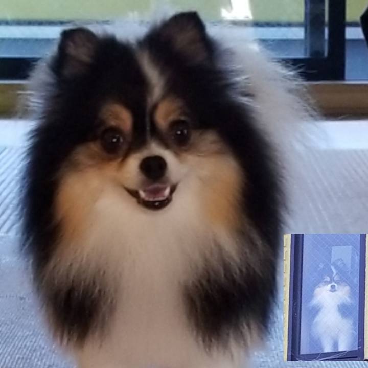 C3c1b167 d4f9 45cd b59e c5181eea4f33 1531955930194