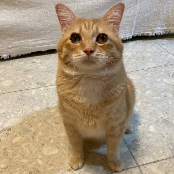 C3c1e2a3 59d2 4a0e be14 f84f18899aeb 1755693672708