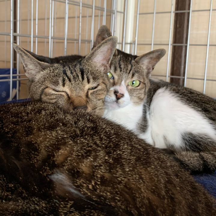 C3c213fb e327 4fa8 adf7 ff0da20f5273 1592270023389