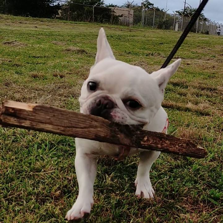 C3c21e3c 4002 4547 bed2 1a4ea27094fb 1658745334906