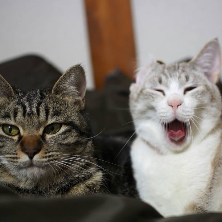 C3c23741 3234 4711 8c08 862abff0a5e7 1515897526429