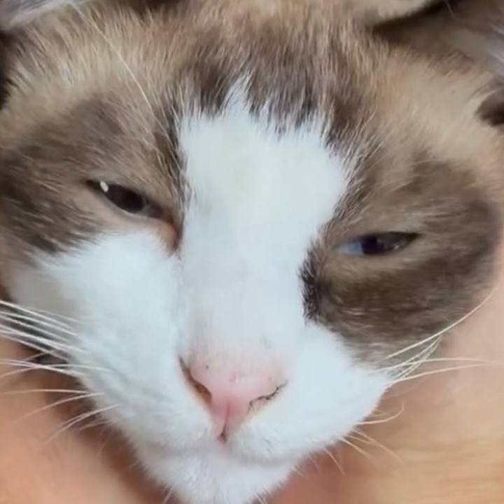 C3c2431e ac3c 4471 aae2 221ec4ddc729 1758938844007