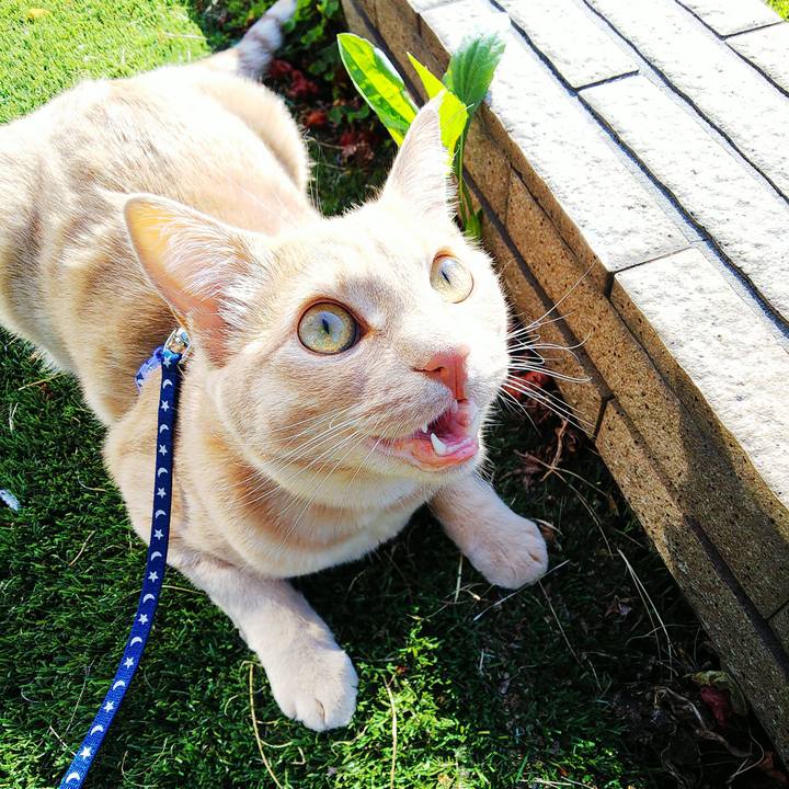 C3c262a1 ddf9 47ab 8a6d 523a4cf60ee5 1560468515294