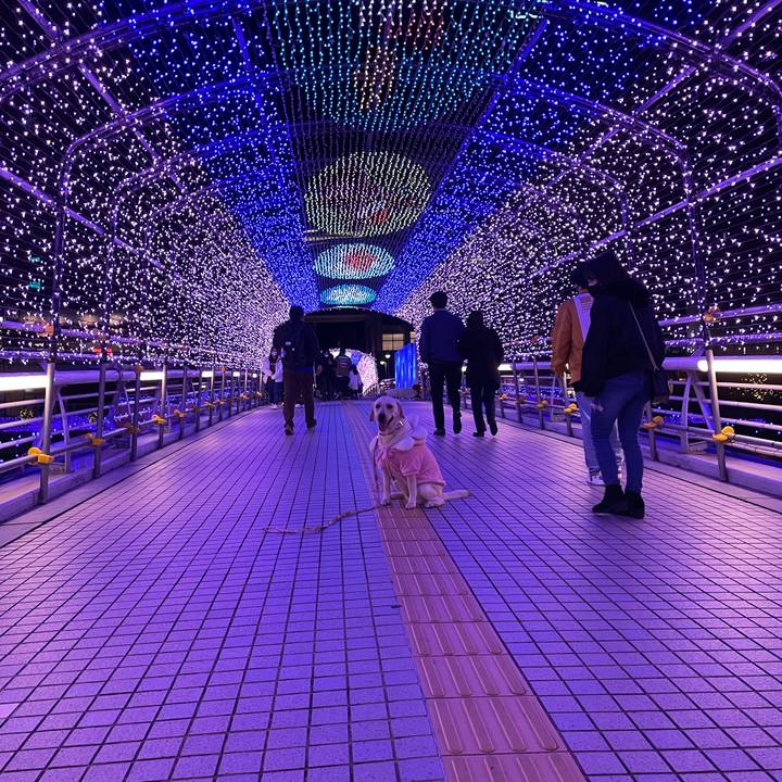 C3c28a31 50b2 485e b1ef 8ea6e0b424b9 1638629719613