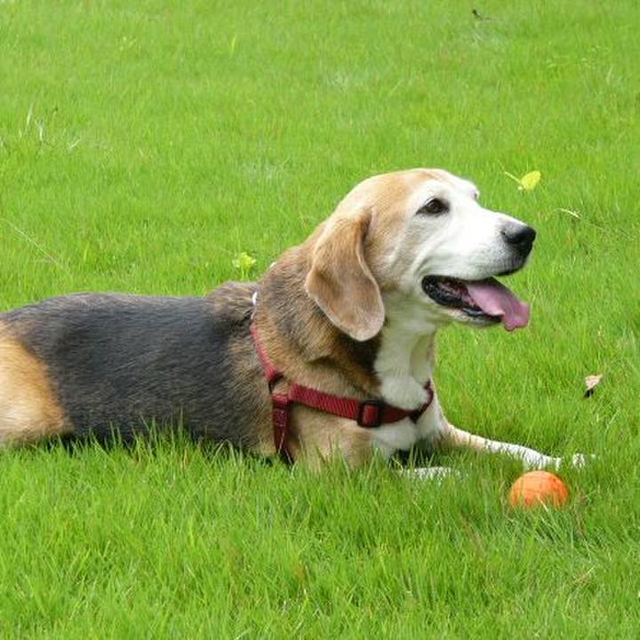 C3c29166 42ce 41aa 87a3 72c2d7a4f2f3 1643158050351