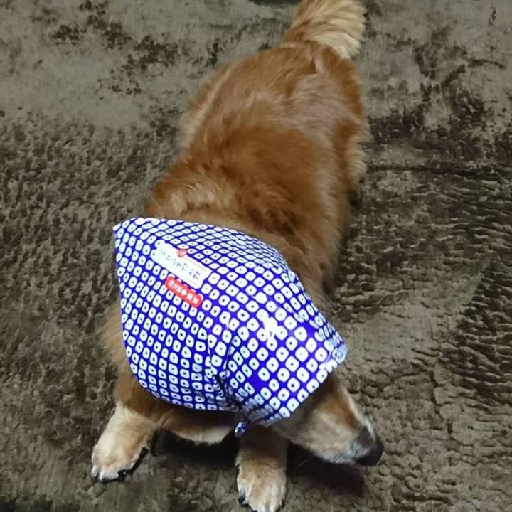 C3c29443 295c 4f4e a285 dfad56580dc5 1576001989823