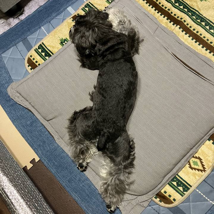 C3c2dfb3 7f11 4e74 b286 b941a0f10501 1715658603155