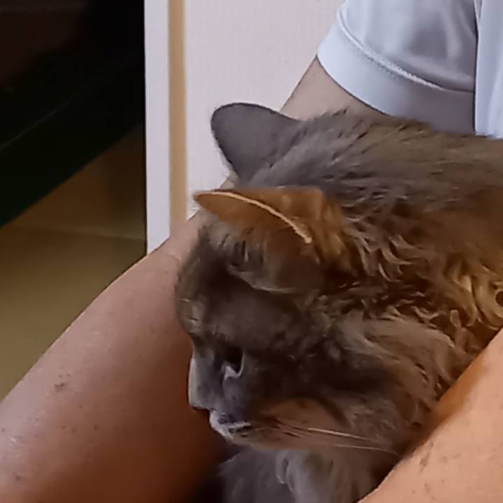 C3c2e6ba 5918 4f43 a6b5 24da1e79789d 1614894921214