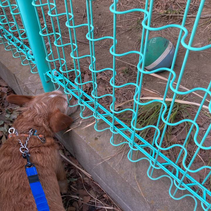 C3c2e9e0 1ca1 462d 8dfd a575b3dbc060 1678105258528