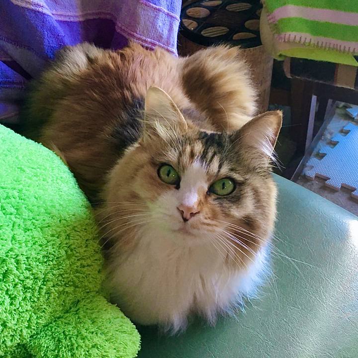 C3c2fa23 02a8 482d ab07 479ad61e4a5c 1611874525257