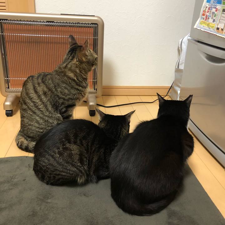 C3c3705a e052 473f a84c 1de53a94e54c 1552123141536