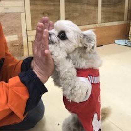 C3c37f6f 1700 4ad0 9027 4b1696ae658c 1516185453335