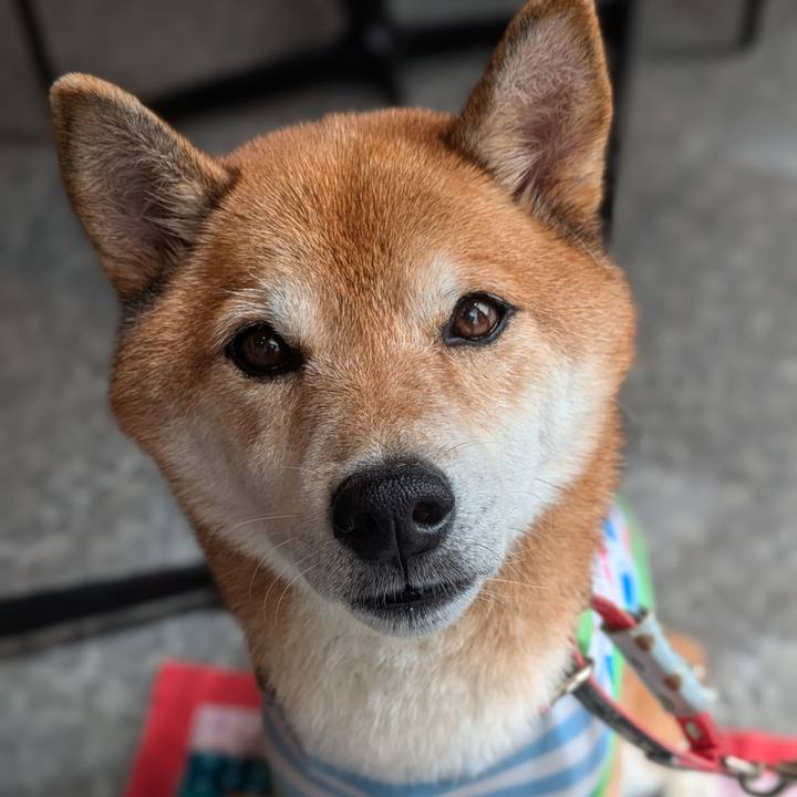 C3c3cbaa 3d4c 4e95 bfb8 091f72234cd2 1725668603685