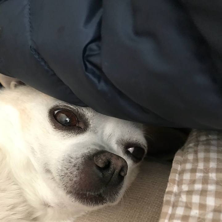 C3c3d29b c5a5 46a6 ad1e 770874598553 1521721212176