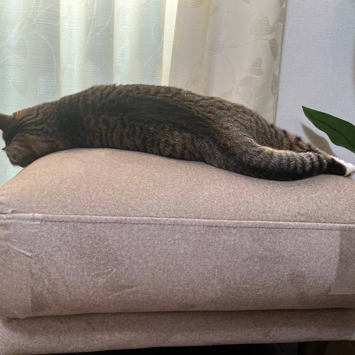 C3c3d4e5 3891 48f6 9eae 2e1627ebb6a2 1740527721065