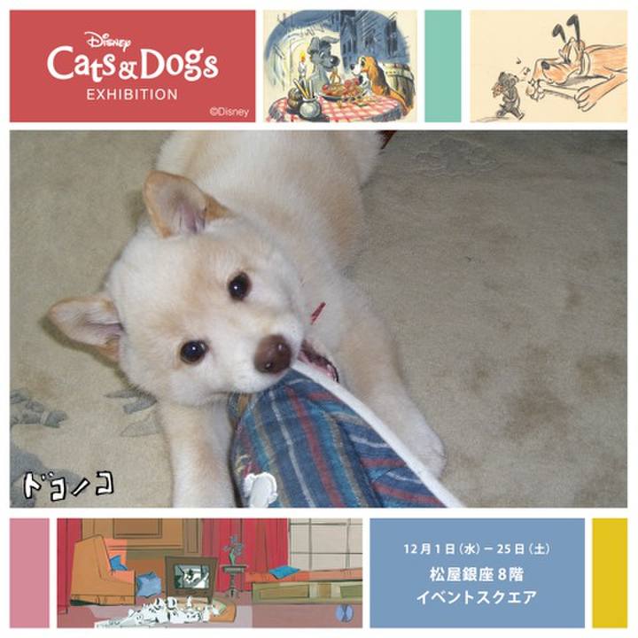 C3c4177d 5f5c 410a a658 1092aa90dd51 1638327394706