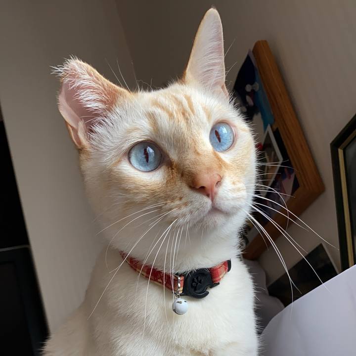 C3c435f4 82be 4b9a bef4 d3bf6de1f6c9 1748146074500