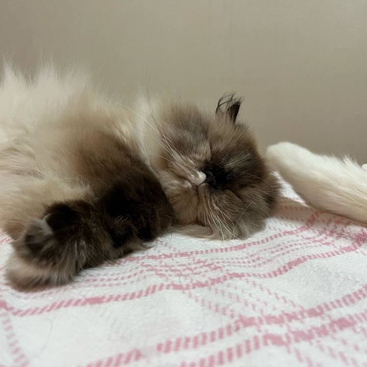 C3c43f45 4b01 4643 90c2 86922b077133 1692185391203