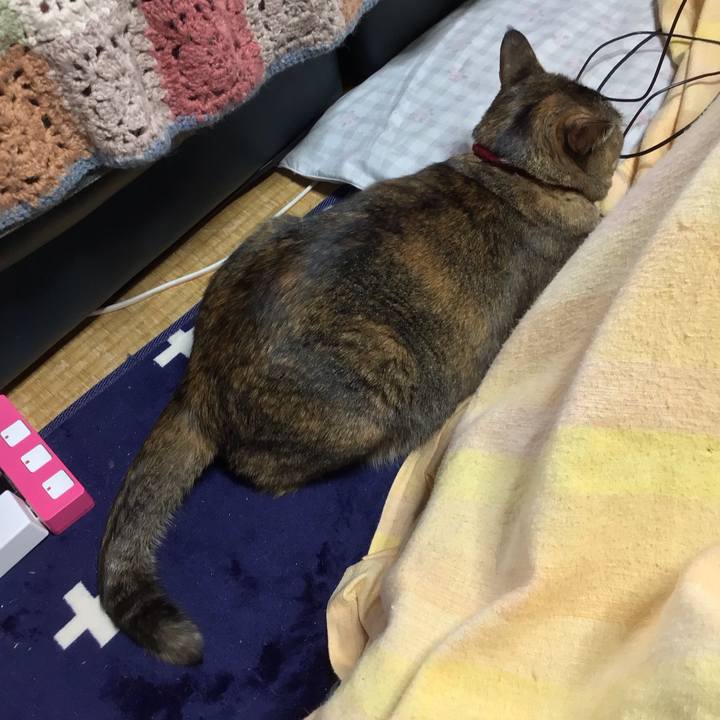 C3c4635a 2a52 443a 896a ae21105ffc06 1708302980699