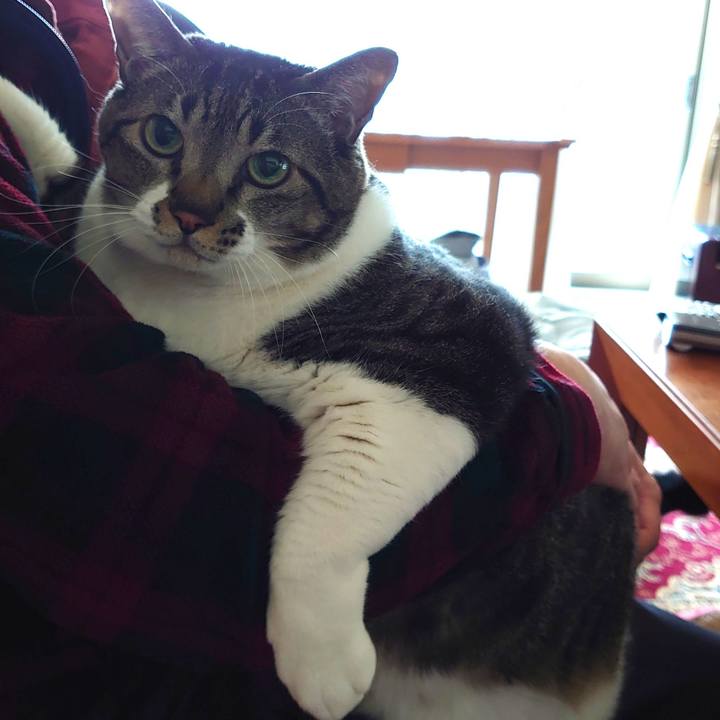 C3c47fc4 820a 48ad a0c6 22d183bf0ed1 1606010784354