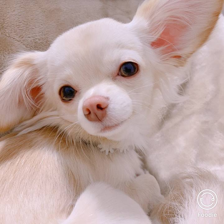 C3c4874b 5ef7 42e3 a2ec bfc8bc27e61c 1608623846929