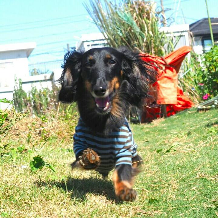 C3c488ad 0cf9 431a ab73 e96790e3745a 1602740603754