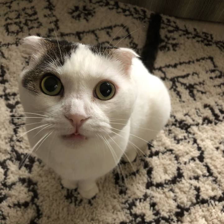 C3c4c9f7 74e3 449d a478 cb8fe8a406b6 1568600412175