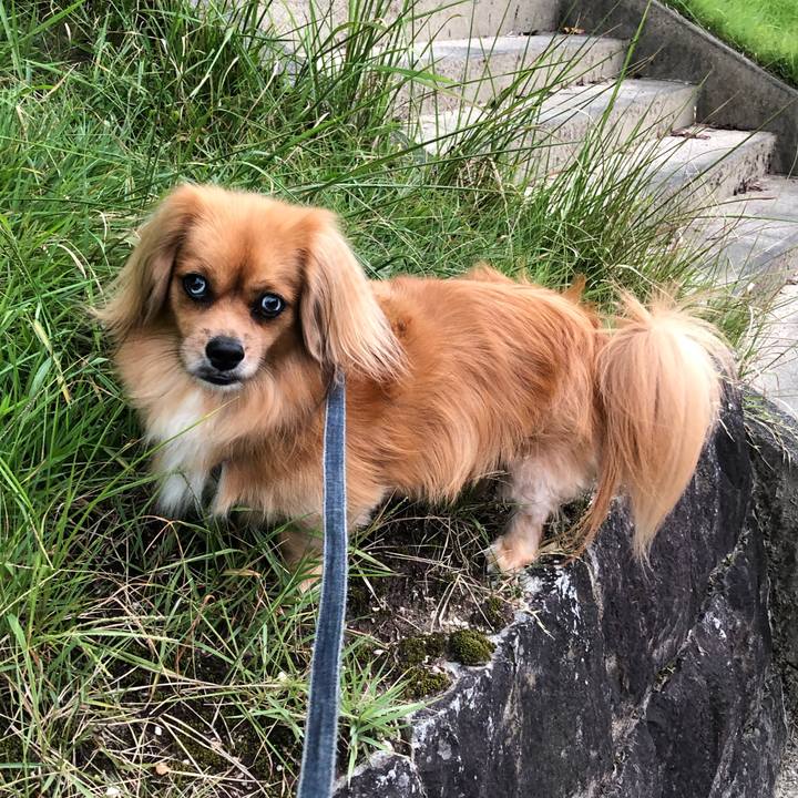 C3c4d51b e649 47ff 8e33 c80f09458240 1568325698006