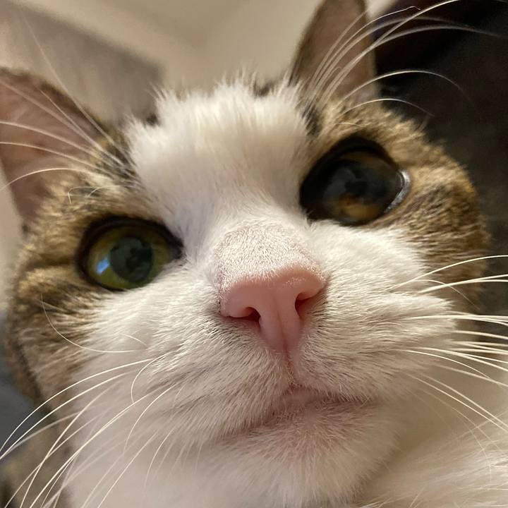 C3c50786 6b92 4509 8ae1 22f0e391651b 1575373970513