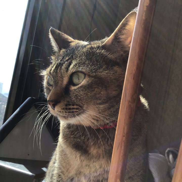 C3c54f4a 873b 4dbb b4ac 073a7105bc3c 1678085576230