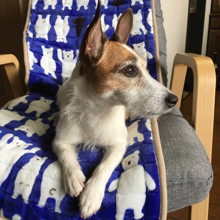 C3c562e4 a783 46bb a712 bc583ebd11ca 1590622948523