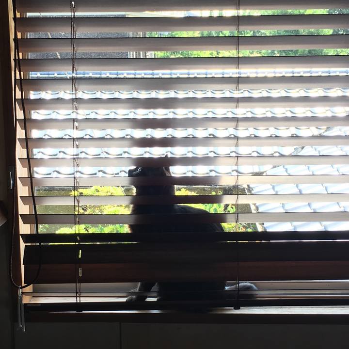 C3c567a9 cf69 4234 8dc0 62ce47c92838 1529986400330