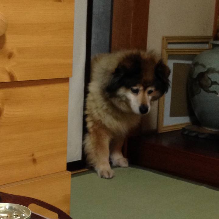 C3c56bb2 2410 4195 bb32 2f7d04d6d236 1570320939813