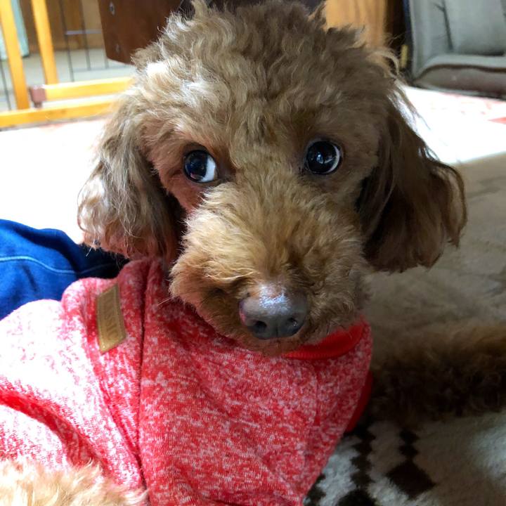 C3c58323 1dad 4fec 8500 2f9f636ebf3e 1551838183109