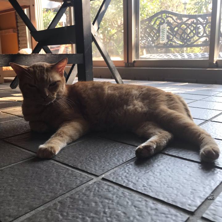 C3c5c497 c1f9 4978 b38d 149ef2041801 1606279630199