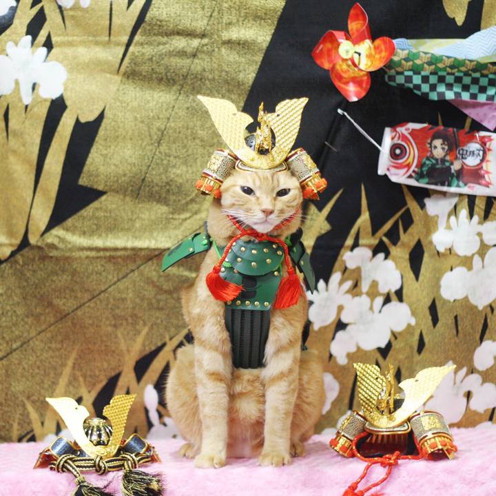 C3c5cf4c f045 4434 b985 5bb615a15b08 1682486711458