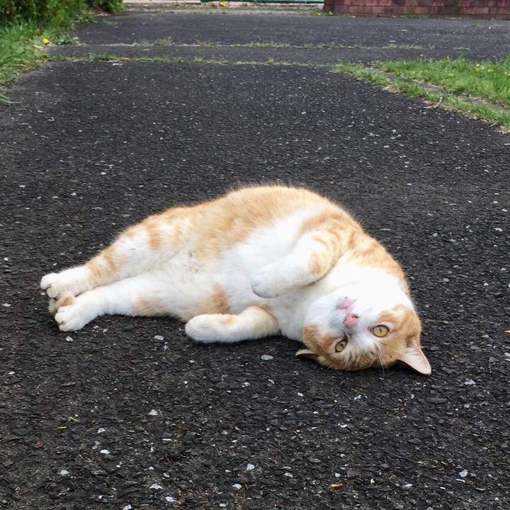 C3c5e096 f9c9 4659 833f 2504c43eade4 1523093538231