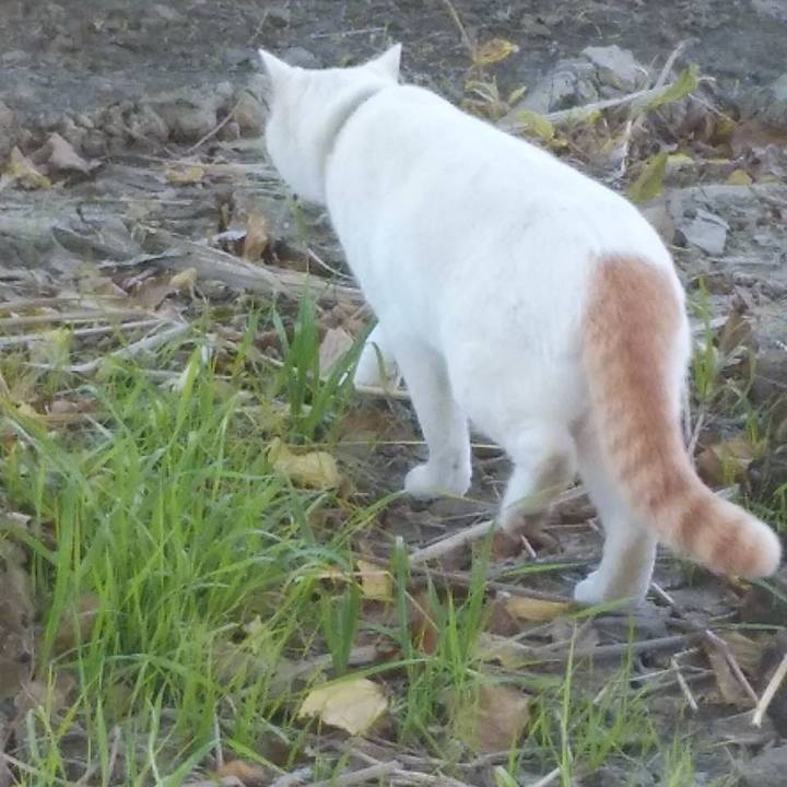 C3c5f17f 19b9 4849 a0d2 a55643581970 1573775784834