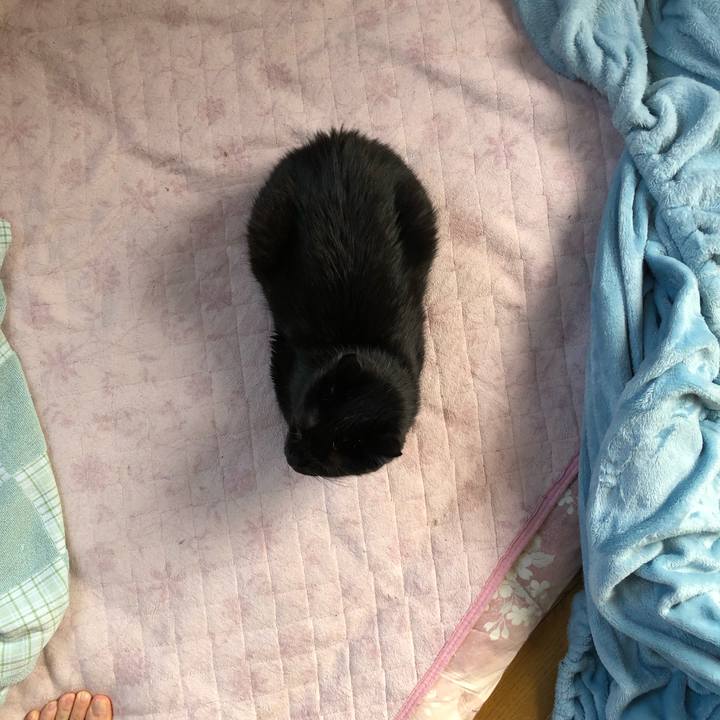 C3c66517 dff6 4dd3 be89 fcc6994ead79 1563659507443