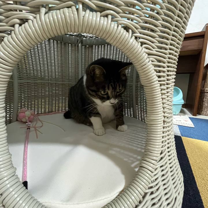 C3c665ad c3a6 47c4 93d8 88f60fc429ec 1771198096892