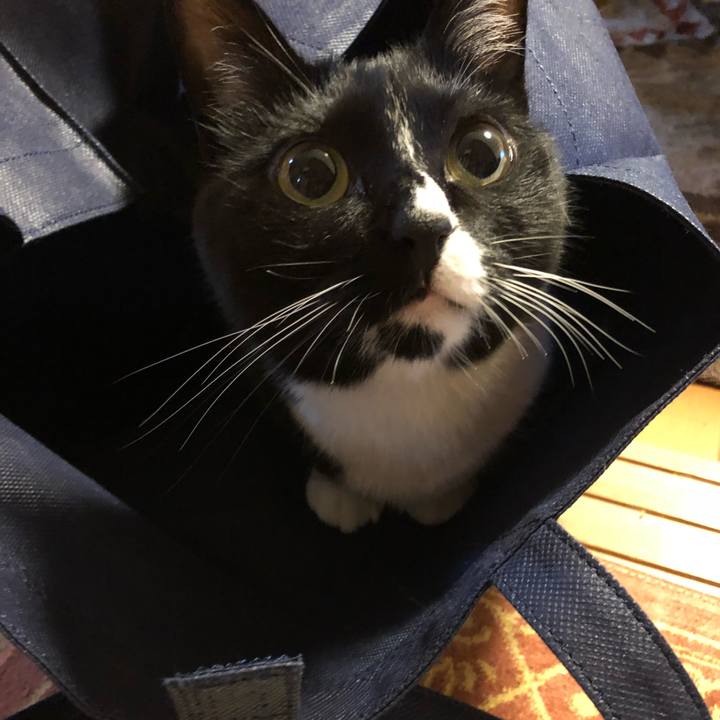 C3c6751e 888a 4766 a077 37105747367f 1526247539800