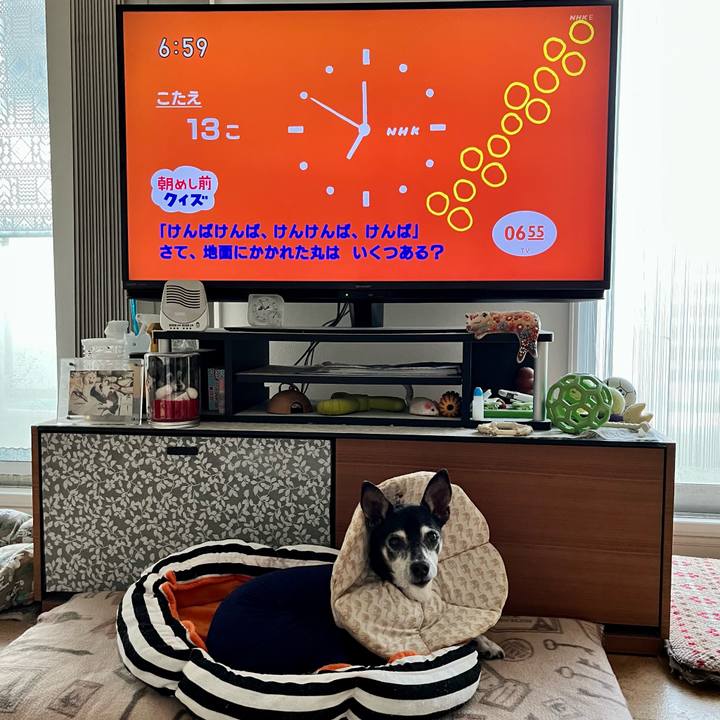 C3c6a6bb c7c9 4b42 9c43 97a3c92c8d8b 1646780343071