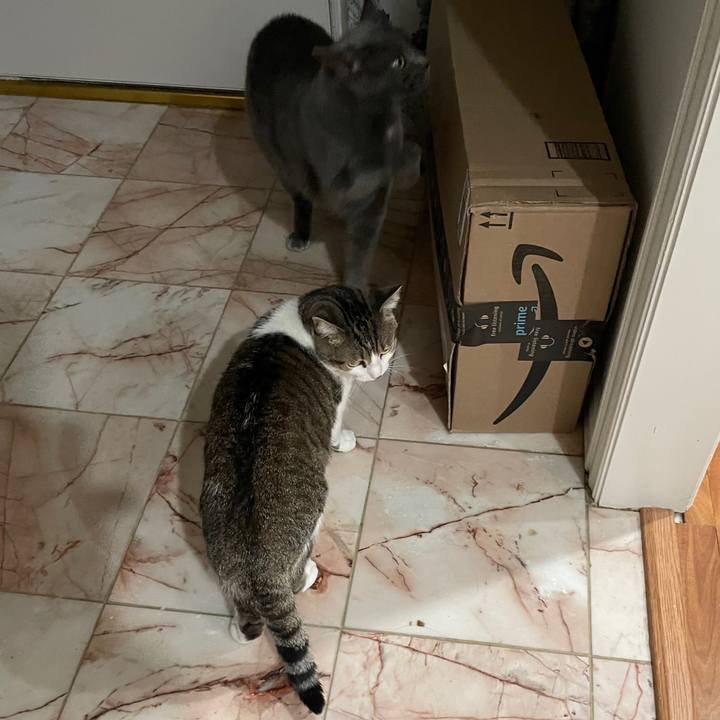 C3c6b737 5d06 4815 815a 7d5b12f2fcda 1743982719334