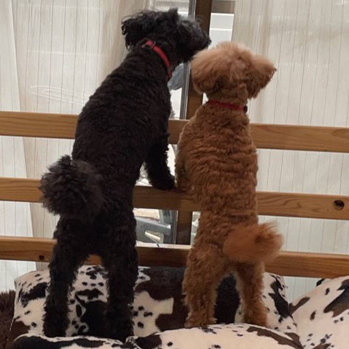 C3c6cac7 0572 42fb ac25 13b3deed5372 1617707381858