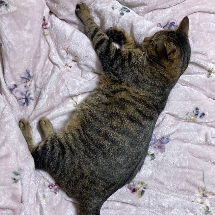 C3c6fbda a36c 4f9e 805e 91bfe5dc59b5 1668040449677