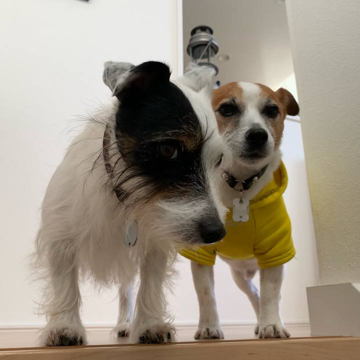 C3c791fd ebca 47f4 942a 45b9e420e82c 1638407972359